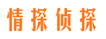 武汉市私家侦探公司